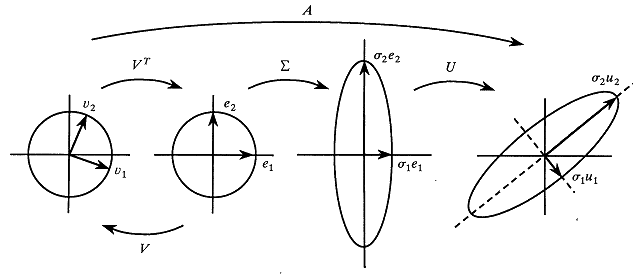 Matrix factorization SVD